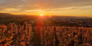 Biergarten mit Aussicht